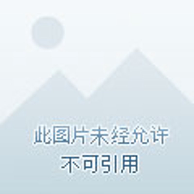 电商系统开发核心指南：从架构设计到商业变现的全流程解析